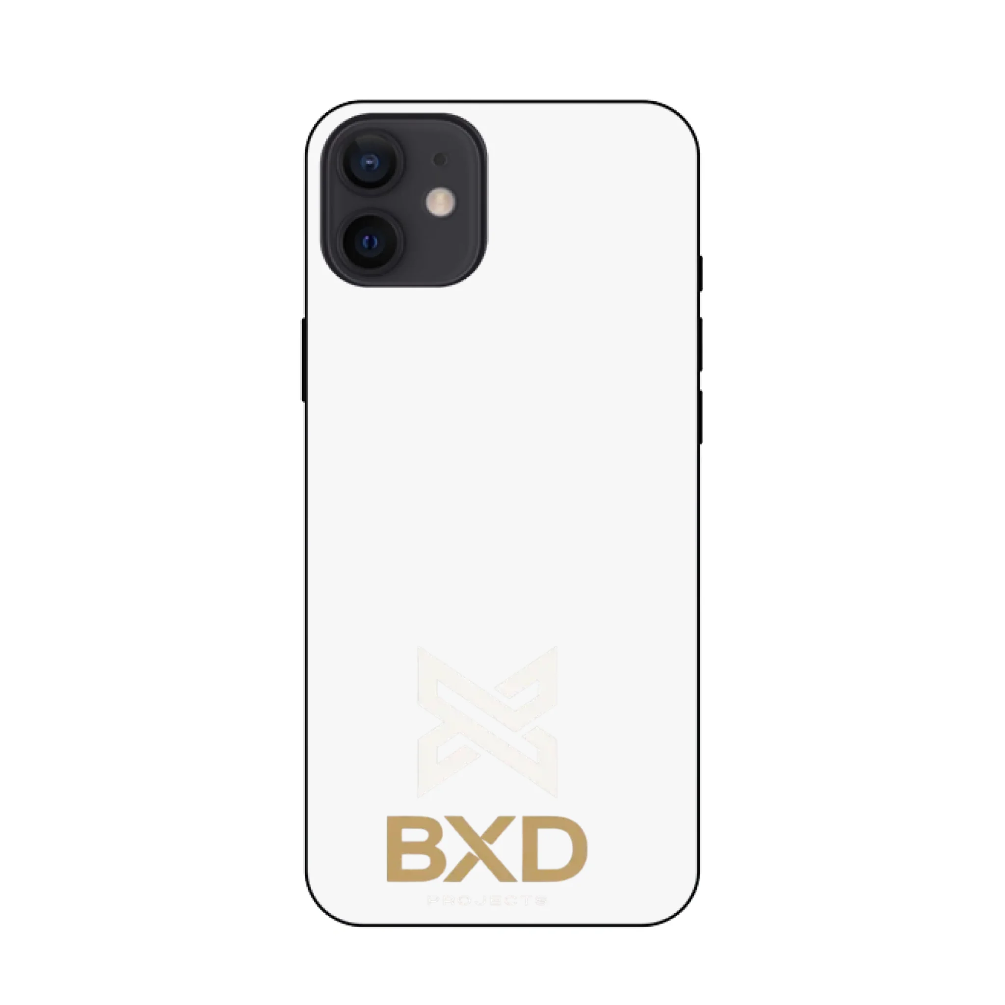 iPhone 12 Mini